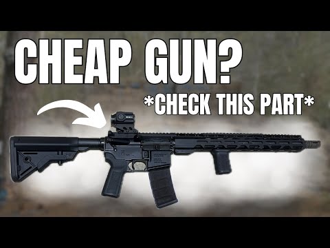 $349 Rifle: 1000 Rounds For Science