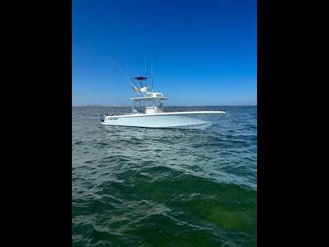 2024 Contender 39 ST Chasin Tail Video