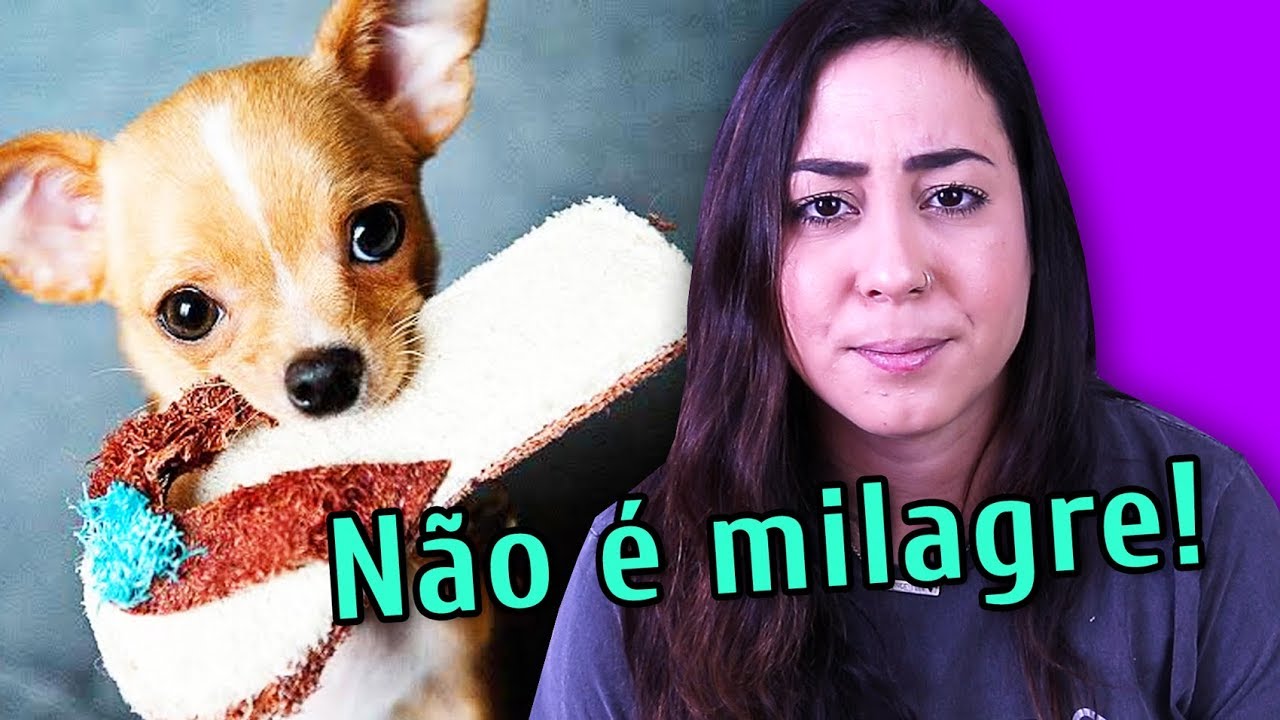 COMO EDUCAR SEM BRIGAR OU BATER