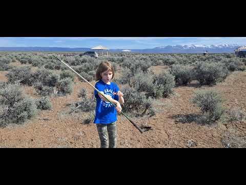 Summer Lake, spring 2023