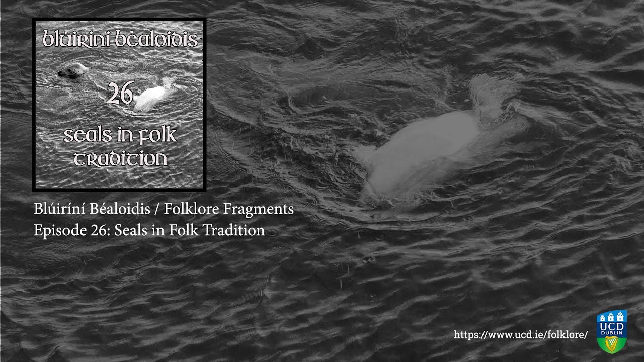 Folklore Fragments Podcast - Episode 26: Seals In Folk Tradition