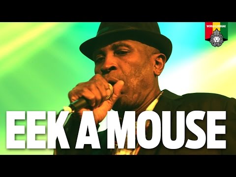 Eek A Mouse Live in Amsterdam 2016