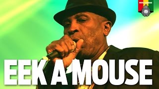 Eek A Mouse Live in Amsterdam 2016