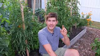 How We Choose the Varieties We Grow Every Year