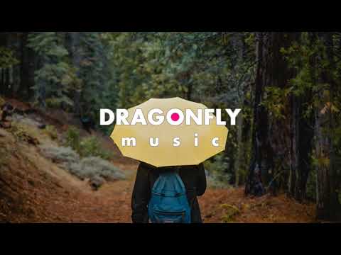 TRYPKO - Lost | 1 Hour Version