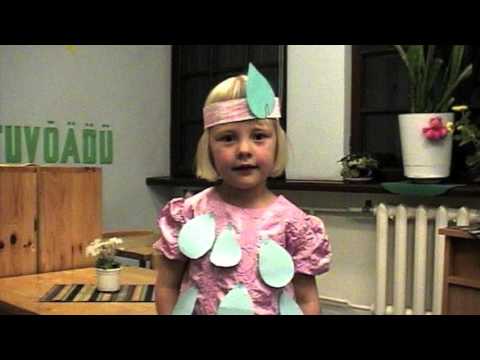 Jana Liisa - On vaid see hetk