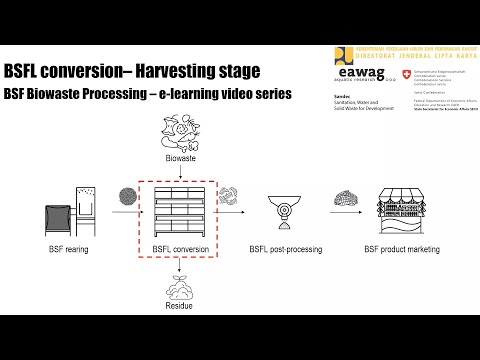 BSFL Conversion - Harvesting - BSF Biowaste Processing e-learning video series