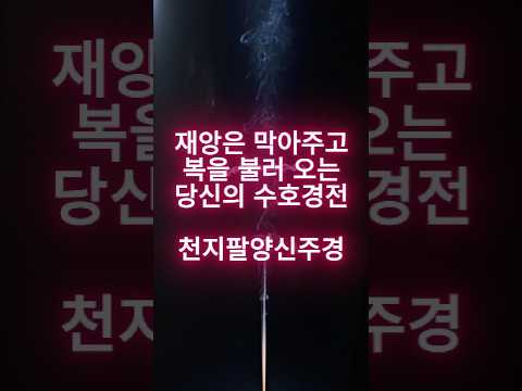 재앙을 막고 복을 부르는 12인의 수호자