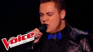 The Voice 2015│Guillaume - Quand on arrive en ville (Daniel Balavoine)│Epreuve Ultime