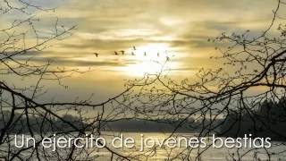 Alcest - Oiseaux de Proie Subtitulado al Español