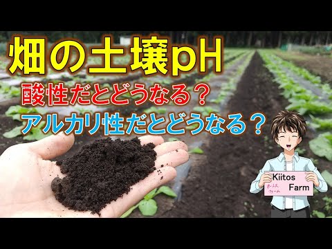 , title : '【畑の土のｐH】酸性土壌orアルカリ性土壌、どういう影響が出るのか？'