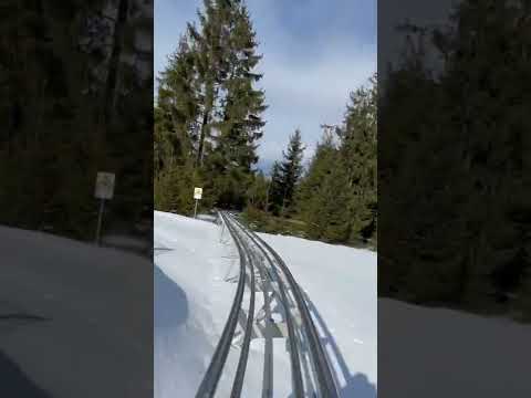 Cu bobul la Toplita, in Tabara May Lily de iarna (2022)