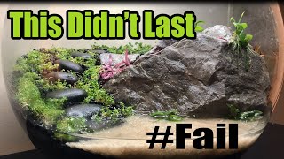 Fish Bowl Aquascape Failure | Full Melt | Will it recover? | 3 Gallon Nano Aquarium Bowl.