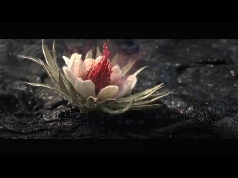 VOLVIC GIANT directed by Johnny Green