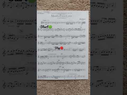 Playing An Excerpt from Mambo Perro Loco by Julie Giroux 🎶🐕#clarinet #music #excerpt #shorts