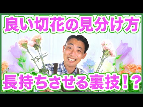 園芸 切り花の保存