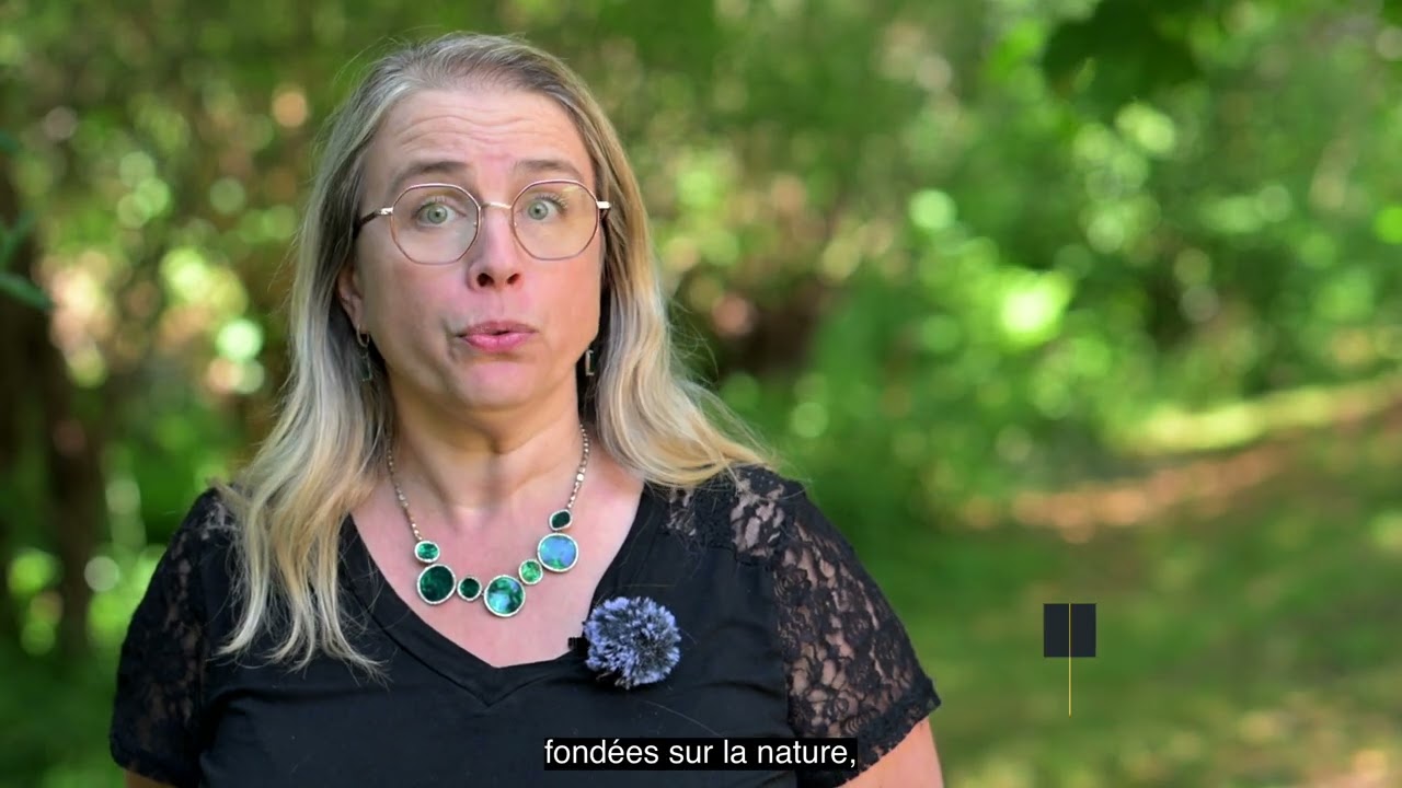 Image d'illustration de la vidéo