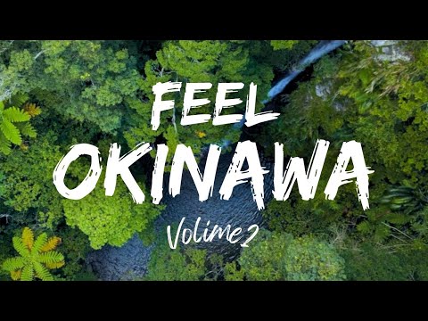 武道学科 三線BGM｜沖縄の子守唄と沖縄の自然｜睡眠用playlists