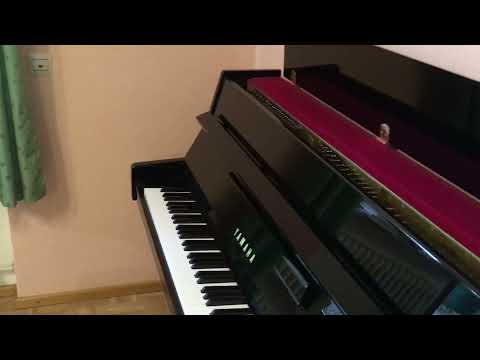 Yamaha Klavier / Piano B1