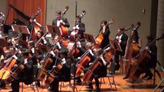 The Sorcerer's Apprentice