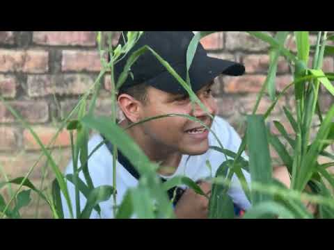 Escondite Americano con mis primas