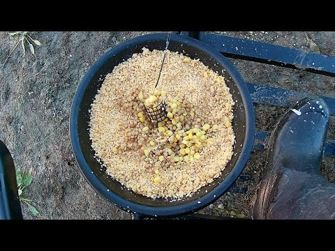 PRIMAMA SA DODACIMA I AROMOM ZA DOBAR FIDER RIBOLOV - 4K VIDEO