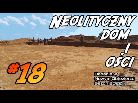 Neolityczny dom i rybie ości. Co znaleźliśmy w piecu?