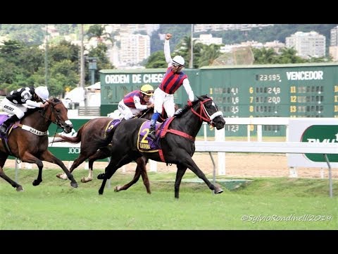 GP Diana (G1)  2019 -  Gaivina