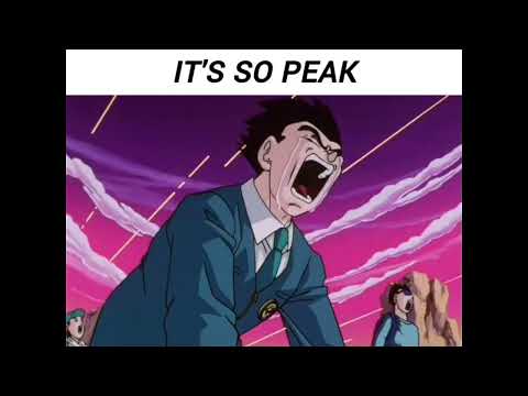 It's peak, is this peak, absolute peak trending meme template