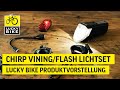 CHIRP VINING / FLASH LICHTSET | Leuchtstarkes Lichtset mit cleveren Extrafunktionen!
