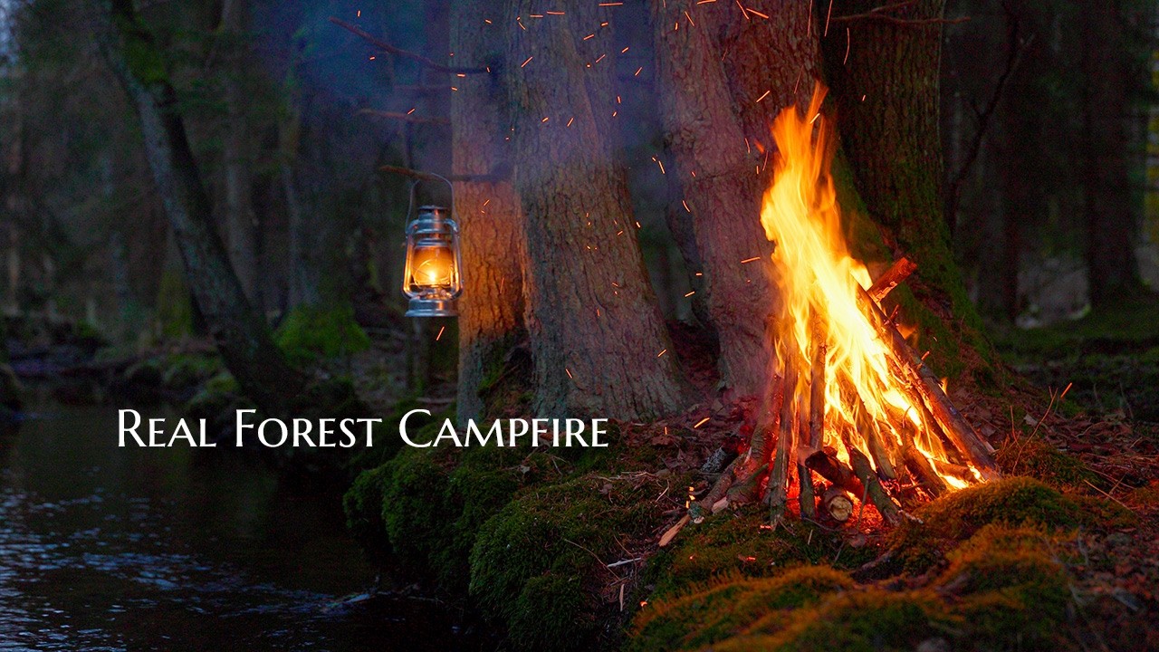 4K📺Real Forest Campfire 🌲Soothing Sounds of Water, Fire & Birdsong