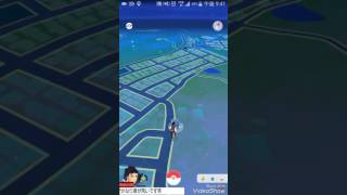 ポケモンgo野生のラプラス遭遇！！