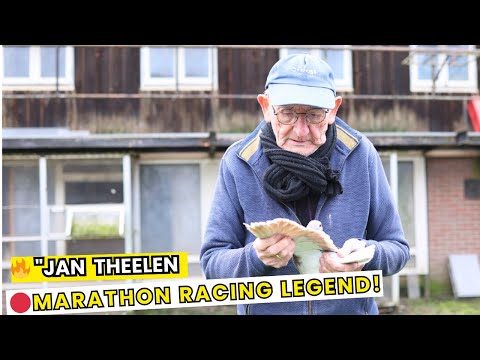 Jan Theelen – Marathon Racing Pigeons 🏆🐦