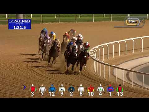 2019 Dubai World Cup Race Replay