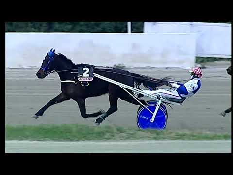 Napoli Trotto 28/01/2022 - 2ª corsa