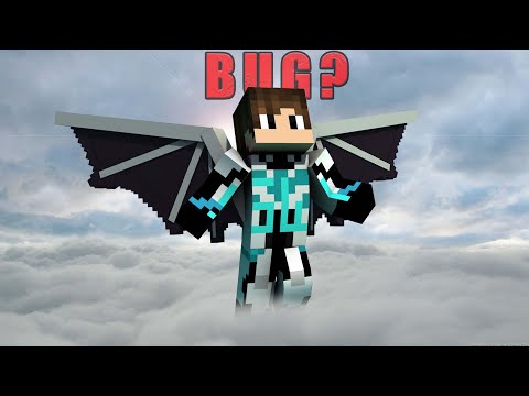 STEEL WING - Minecraft Telling Us Own Bugs...