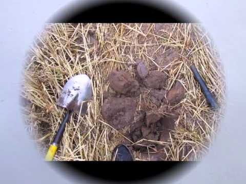 Metal Detecting Saturday Dig in Scotland