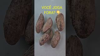 Não Jogue Fora Caroços de Manga 🥭 Vai Te SUpreender o Resultado ♻️💚