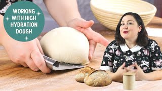High Hydration Sourdough- Top Tips for Working with it! | Baker Bettie