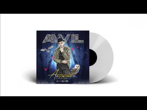 AWIL | The Latin Boss - Acercate