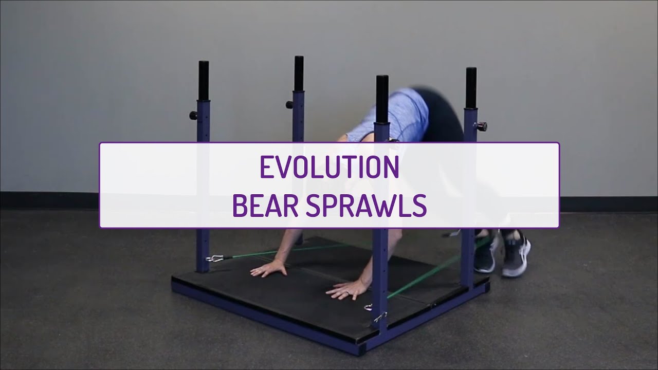 Evolution Bear Sprawls