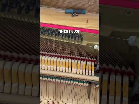 cleaning out a nasty piano - part 2