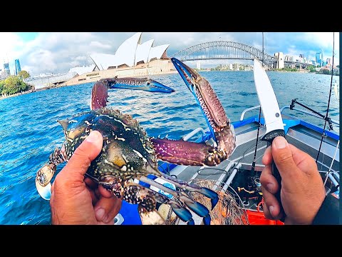 GIANT CITY CRABS Catch And Cook - Living From The Land & Ocean