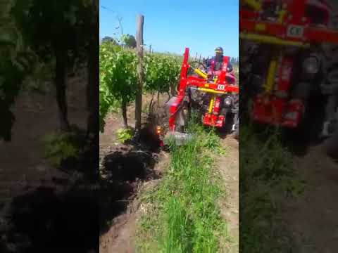 BMV-SPOLLONATRICE-VINE SHOOT REMOVER-DESBROTADORA-SPL800