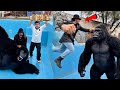 Shaka Don Vs Gorilla Big Clash Winner Kon