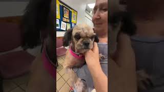 AT THE SHELTER NOW – NOT ONE BUT TWO LITTLE LIVES SAVED TODAY AT THE SHELTER NOW – NOT ONE BUT TWO LITTLE LIVES SAVED TODAY
