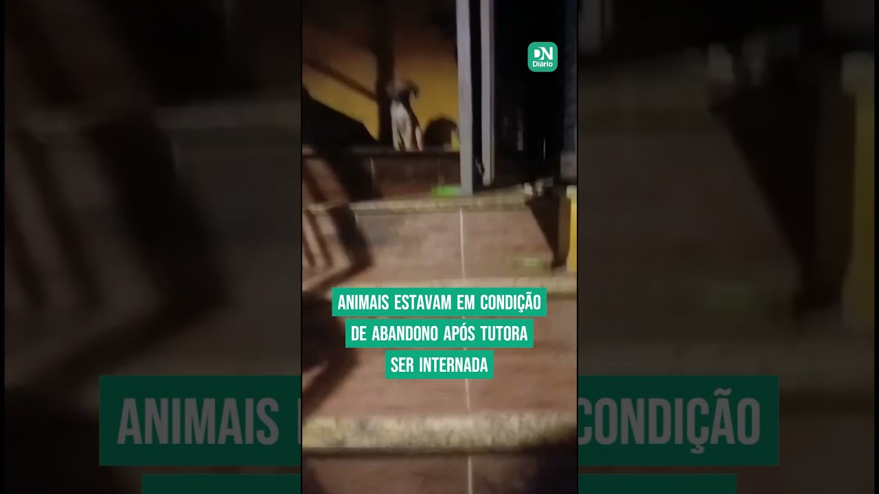Imagem da notícia Após tutora ser internada, 11 filhotes de cães são resgatados sem água e comida no José Walter