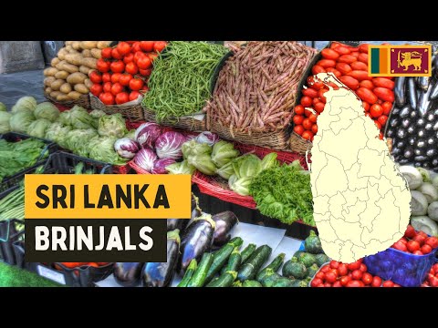 The vegetable with many names. What do YOU call it?