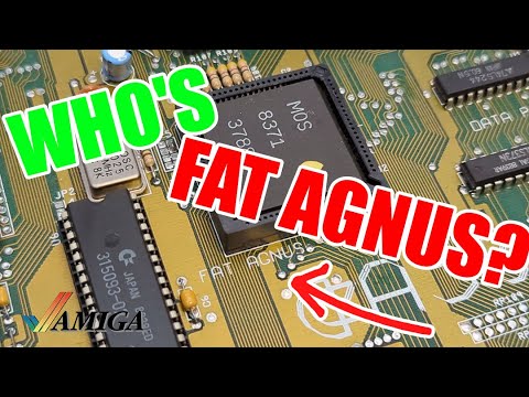 Agnes, Denise & Paula? The Strange World of Commodore Amiga Chip Names