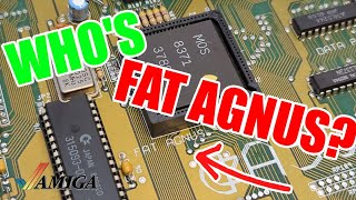 Agnes, Denise & Paula? The Strange World of Commodore Amiga Chip Names